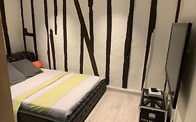 Triplex De Charme Centre Ville